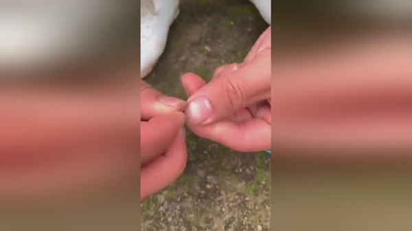 啤酒盖切番薯，童年的回忆