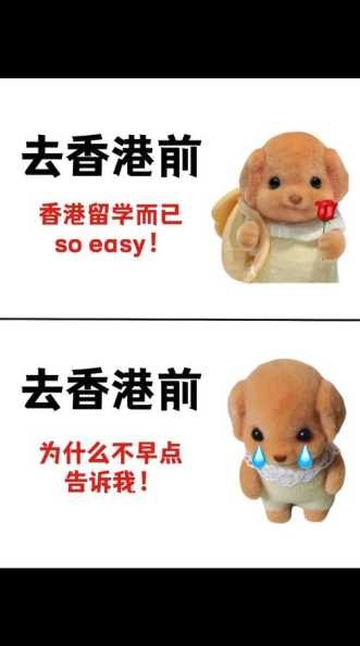 香港留学如何消费最低？生活费怎么节省？ 第1张