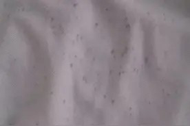 衣服发霉霉斑怎么清洗?图片