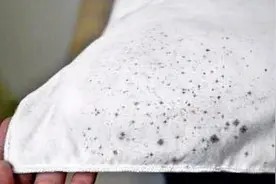 夏天衣服上长霉斑不要愁,只需用这种水泡一泡,霉斑立马去除干净视频封面