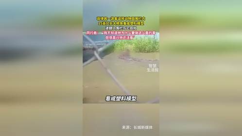 菲律宾游客误将15英尺长大鳄鱼看成塑料模型