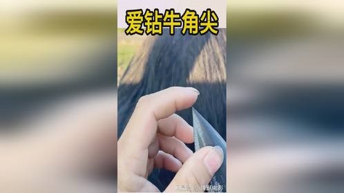 爱钻牛角尖，对别的牛不公平