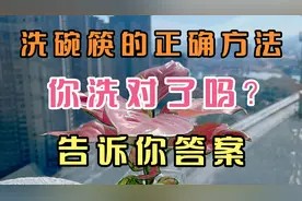 洗碗筷的正确方法,你洗对了吗?告诉你答案。视频封面