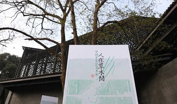 展览｜人在草木间-中国茶生活艺术展