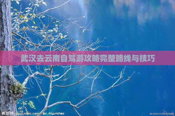 武汉去云南自驾游攻略完整路线与技巧