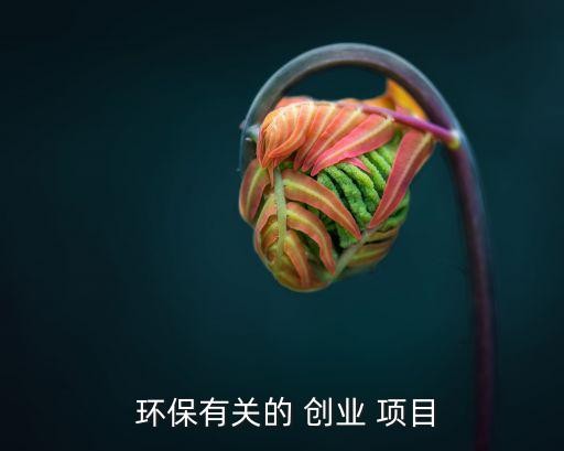 环保有关的 创业 项目