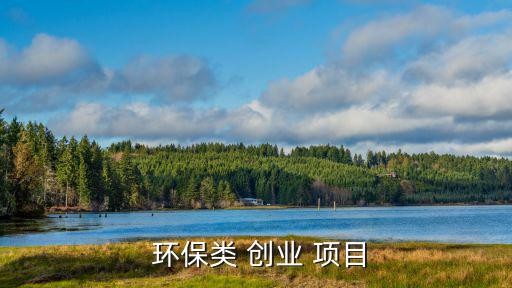  环保类 创业 项目