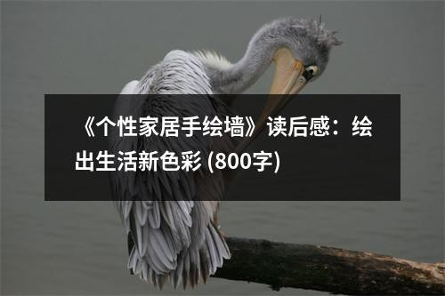 《个性家居手绘墙》读后感：绘出生活新色彩 (800字)