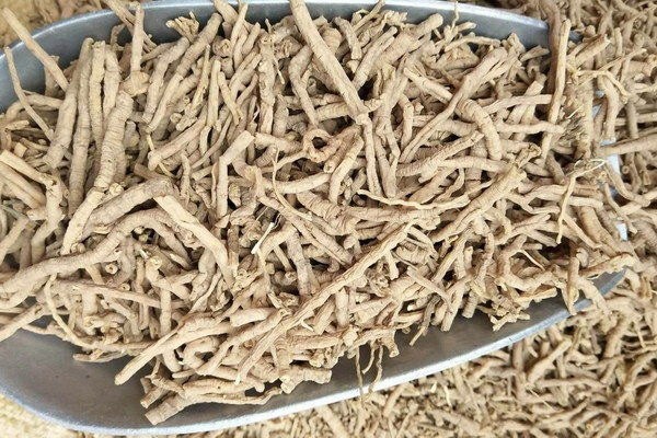 柚子药膳：古老智慧在现代生活中的养生秘籍