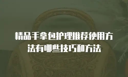 精品手拿包护理推荐使用方法有哪些技巧和方法