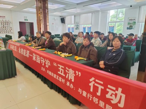 四川天府新区兴隆街道瓦窑村开展永动生活永续能源-家园守护“五清”行动