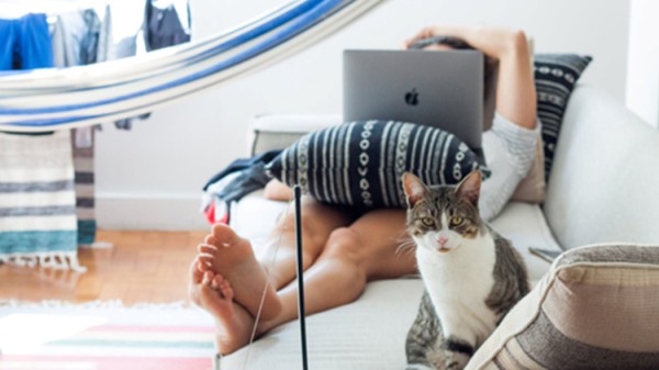 家有顽皮猫主子？硬核清洁指南请查收1