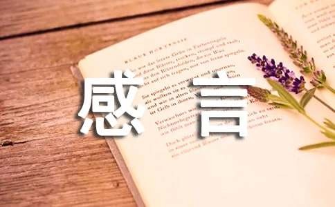 常用生活个性感言句子大全160句精选