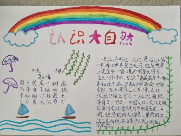 探索自然奥秘追寻生命本源手抄报自然手抄报
