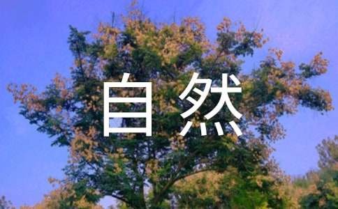 探索大自然的作文合集9篇