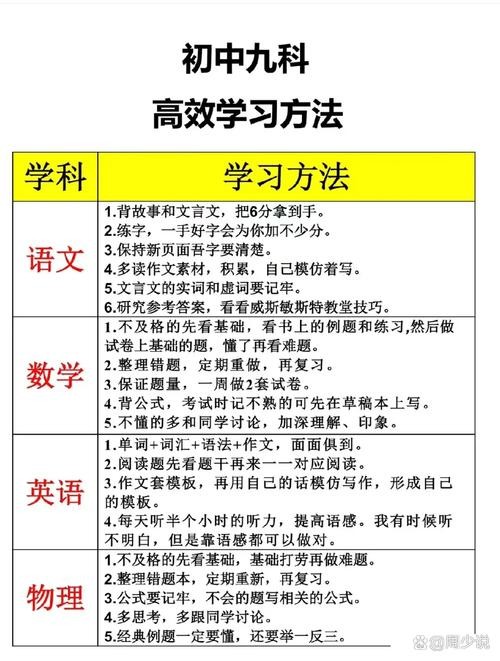 如何在考试通中高效学习策略与技巧