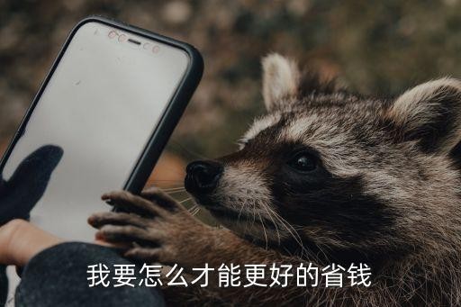 我要怎么才能更好的省钱