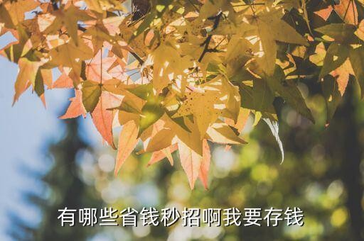 有哪些省钱秒招啊我要存钱