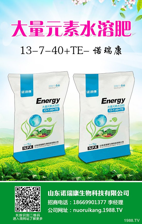  奶油草莓如何种植？奶油草莓种植时间及管理方法技术！1-(1753)