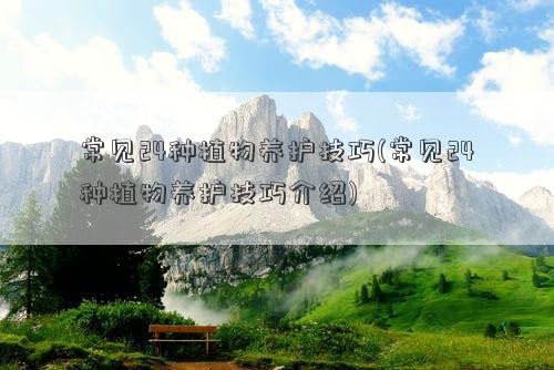 常见24种植物养护技巧(常见24种植物养护技巧介绍)