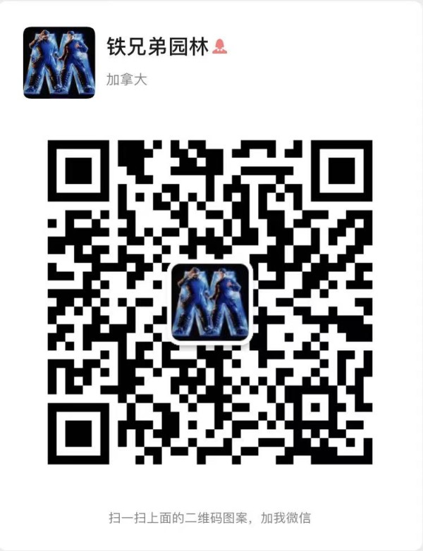1632509489154293.jpg