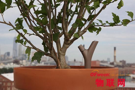 物联网在智能家居中的十大应用实例