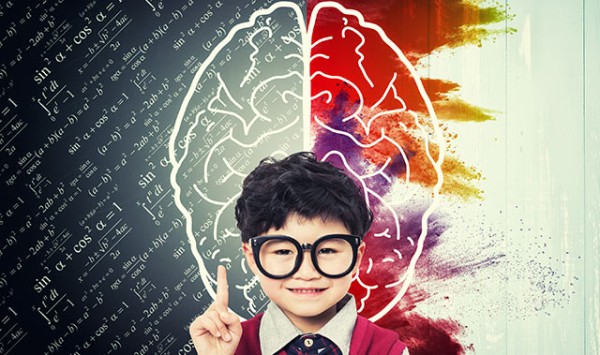 日常生活中开发右脑的方法