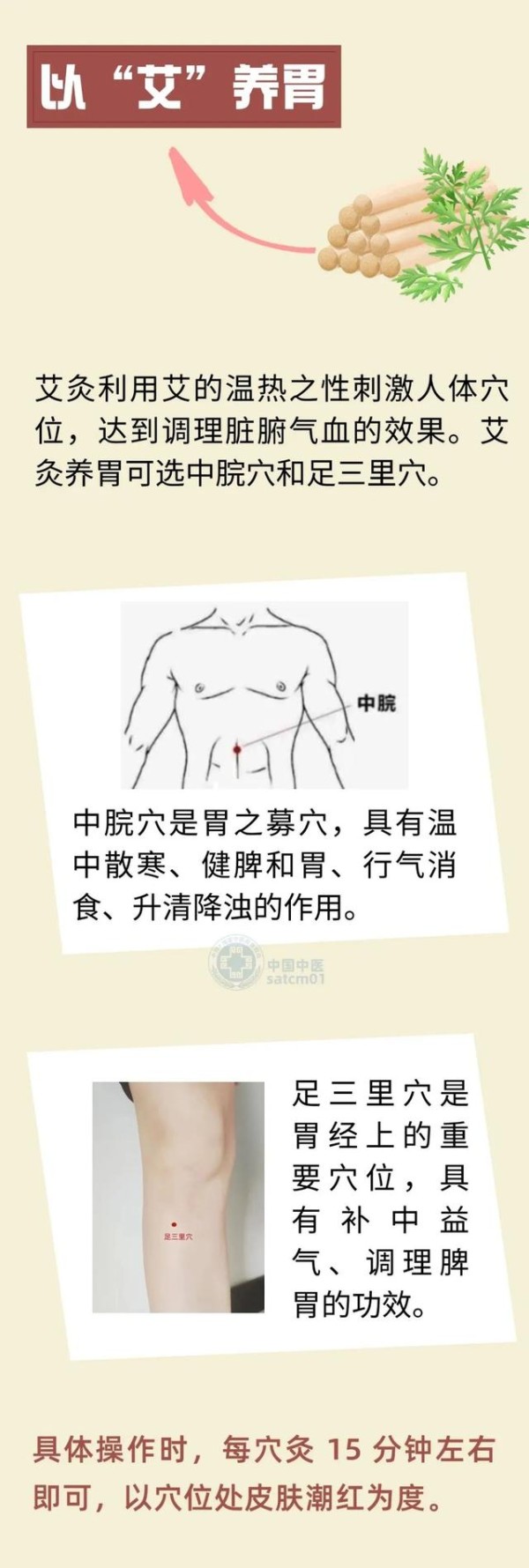 来源:中国中医