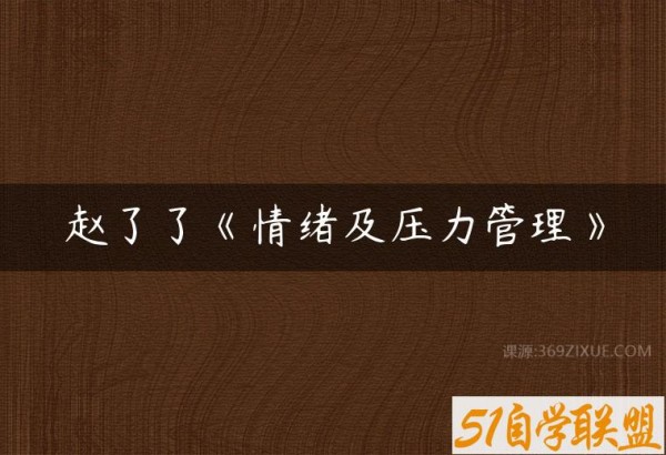 赵了了《情绪及压力管理》