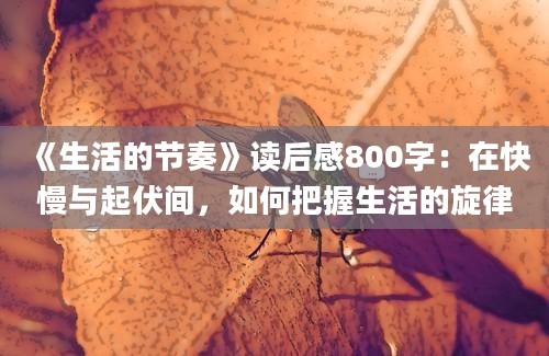 《生活的节奏》<a href=https://www.baixuetang.com target=_blank class=infotextkey>读后感</a>800字：在快慢与起伏间，如何把握生活的旋律