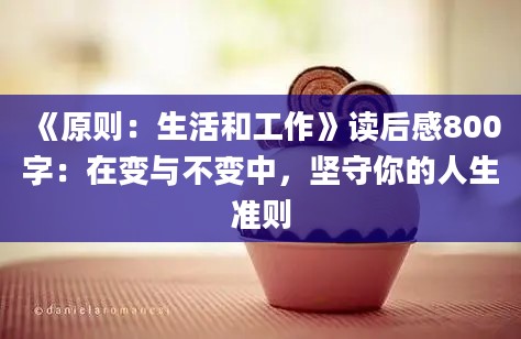《原则：生活和工作》<a href=https://www.baixuetang.com target=_blank class=infotextkey>读后感</a>800字：在变与不变中，坚守你的人生准则