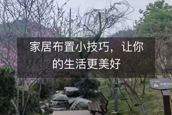 家居布置小技巧，让你的生活更美好
