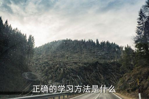 正确的学习方法是什么