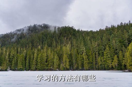 学习的方法有哪些