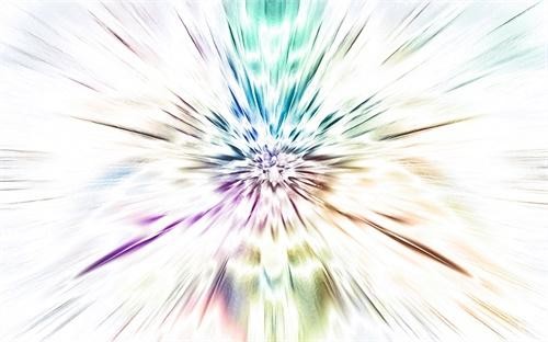 腺萼南蛇藤