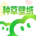 种草壁纸高清版
