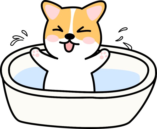狗狗洗澡