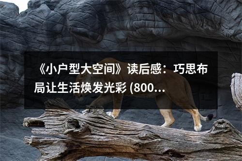《小户型大空间》读后感：巧思布局让生活焕发光彩 (800字)