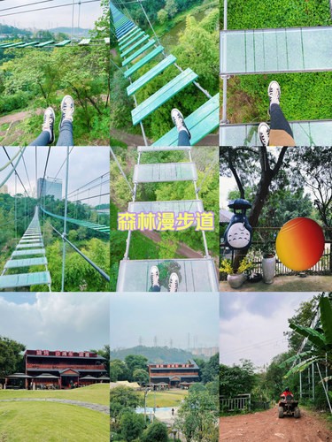 探索大自然美景