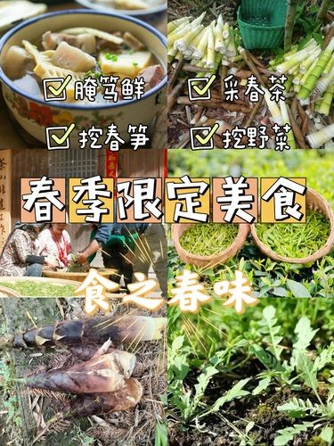 一口春天| 春日限定美食团建，太“鲜”啦