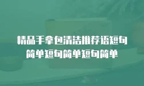 精品手拿包清洁推荐语短句简单短句简单短句简单