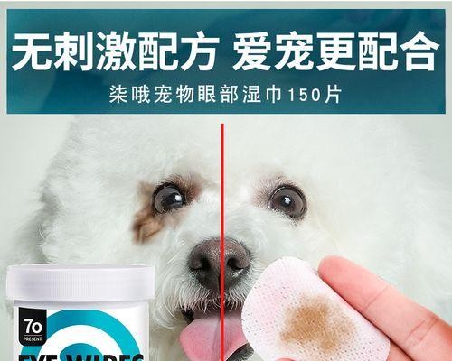 如何正确帮助宠物小猫擦眼？（养护宠物小猫眼睛的方法与技巧）