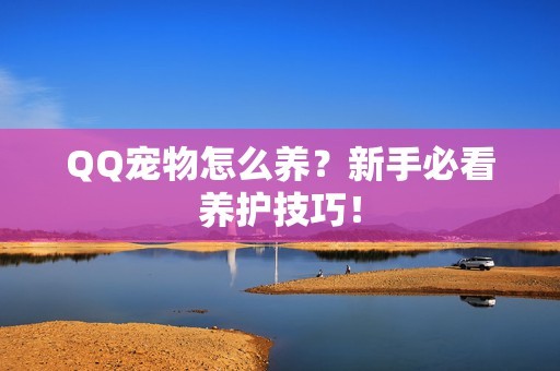 QQ宠物怎么养？新手必看养护技巧！-第1张图片