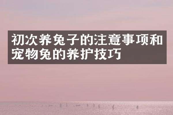 初次养兔子的注意事项和宠物兔的养护技巧
