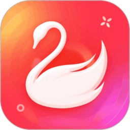 天鹅到家家政