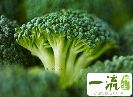 上班族吃什么食物对身体好