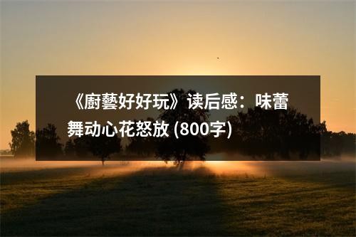 《廚藝好好玩》读后感：味蕾舞动心花怒放 (800字)