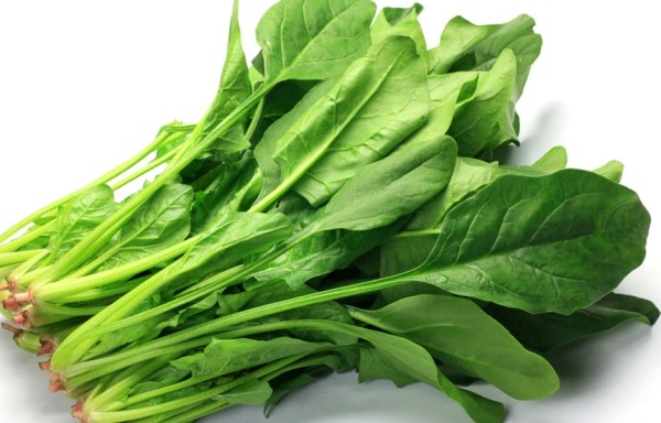菠菜含纖維、維生素C和大量葉酸，可幫助身體產生新細胞和修復DNA。