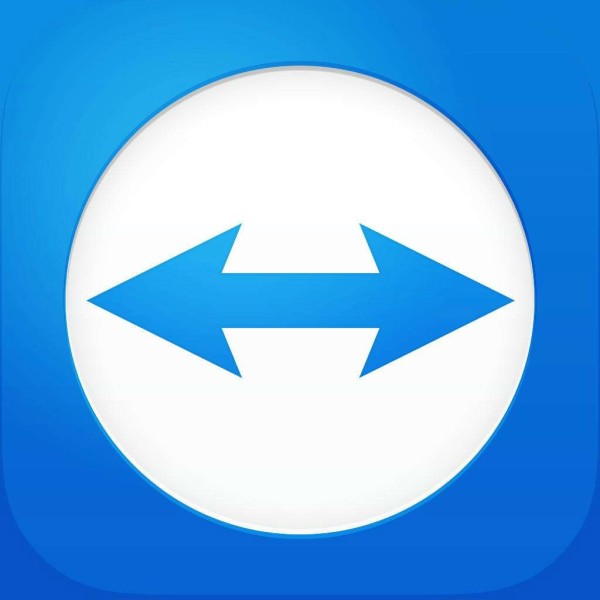 TeamViewer Portable 15.38.3