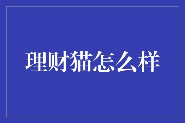 理财猫怎么样
